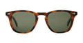 Brown spotted shell sunglasses with smokey lens on a white background.