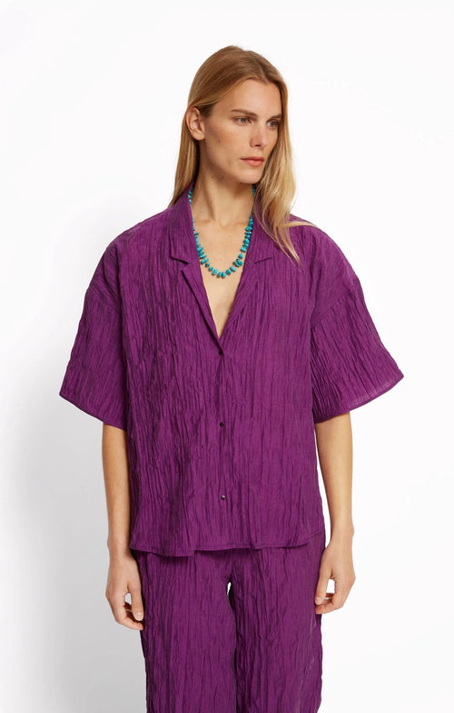 Woman wearing a purple shirt and pants by Roseanna on a white background